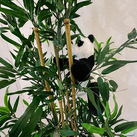 Centro Storico Spina Green House 피사 외부 사진